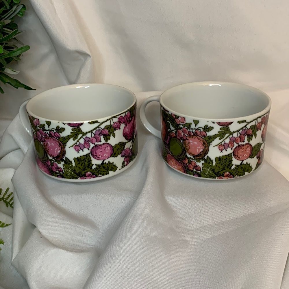 Beautiful set of 16oz porcelain soup mugs with fruits (green, plum and pink)